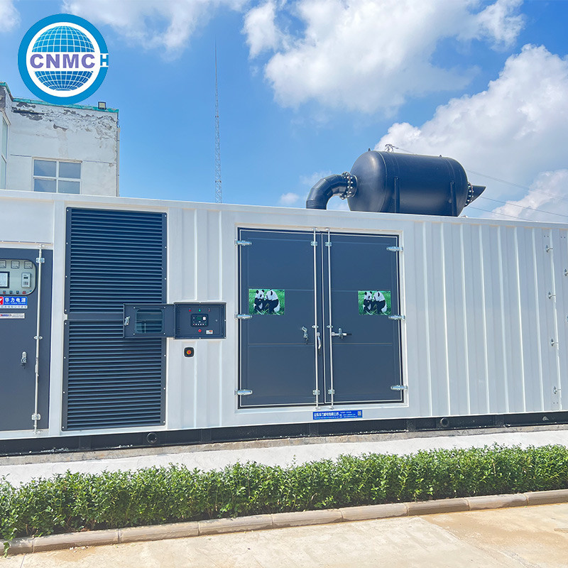400V 230V Container Diesel Generator Sets Weatherproof Practical