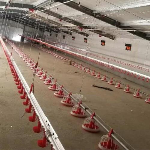 Quality 22ton 220V Auger Automatic Pan Feeding System Shed for sale