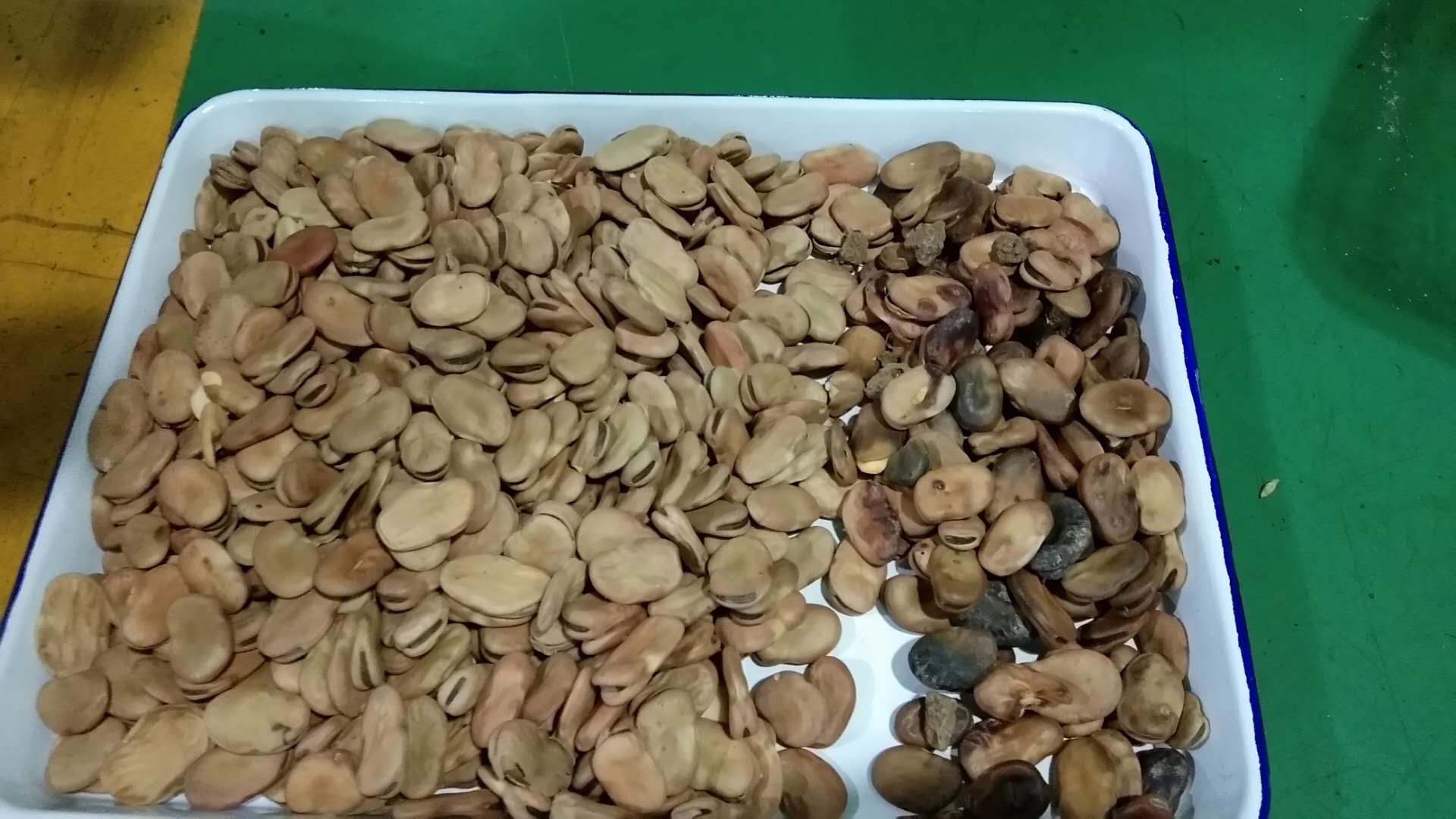 Agricultural Mung Bean Colour Sorter Machine Intelligent dust cleaning system