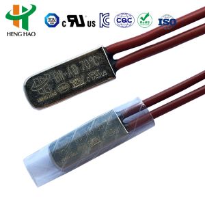 BW-ABS Thermal Fuse with 0-250℃ Temperature Range Voltage & Current Protection