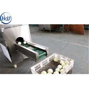 1.5kw Power Onion Peeling Machine , Onion Processing Machine With Cutter