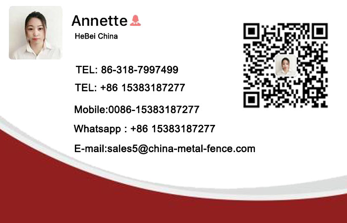 Australian hot sale galvanized steel wire rubbish cage