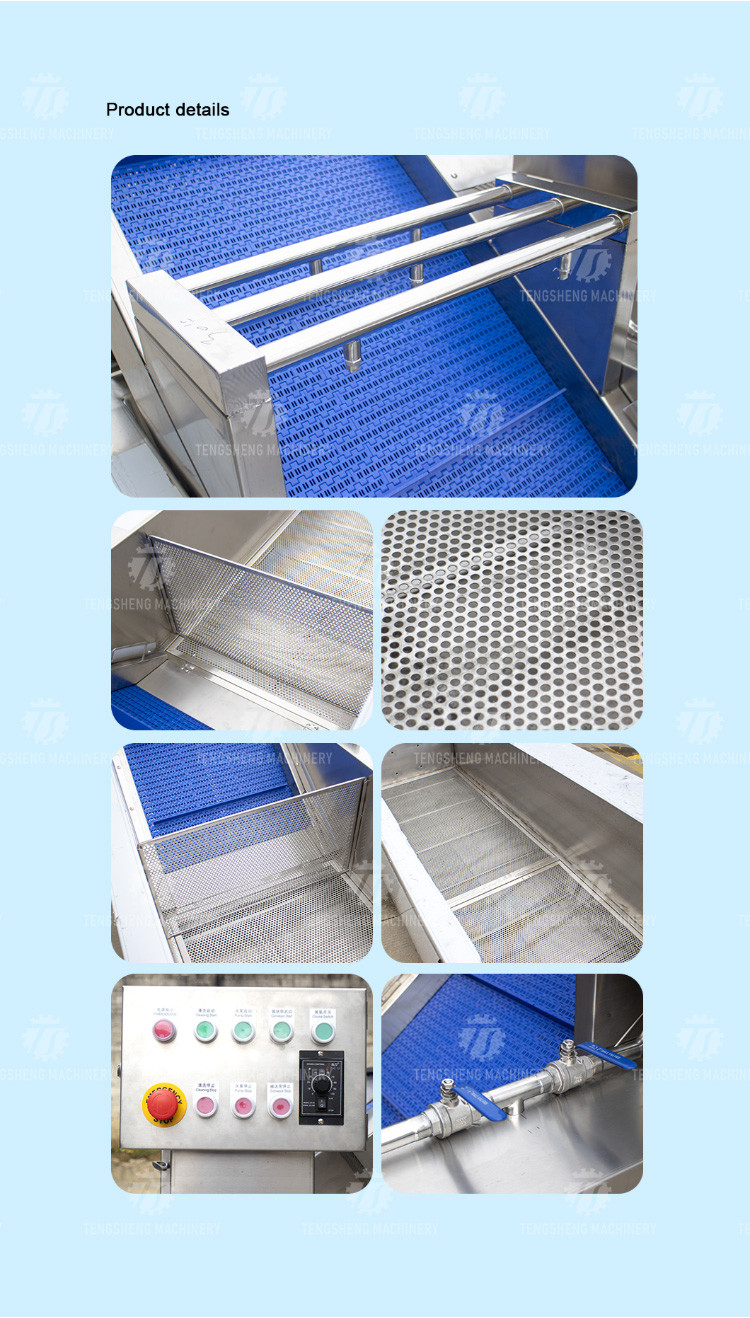 Tengsheng Fruit And Vegetable Washing Machine Pests Eliminating Saint Dragon Fruit