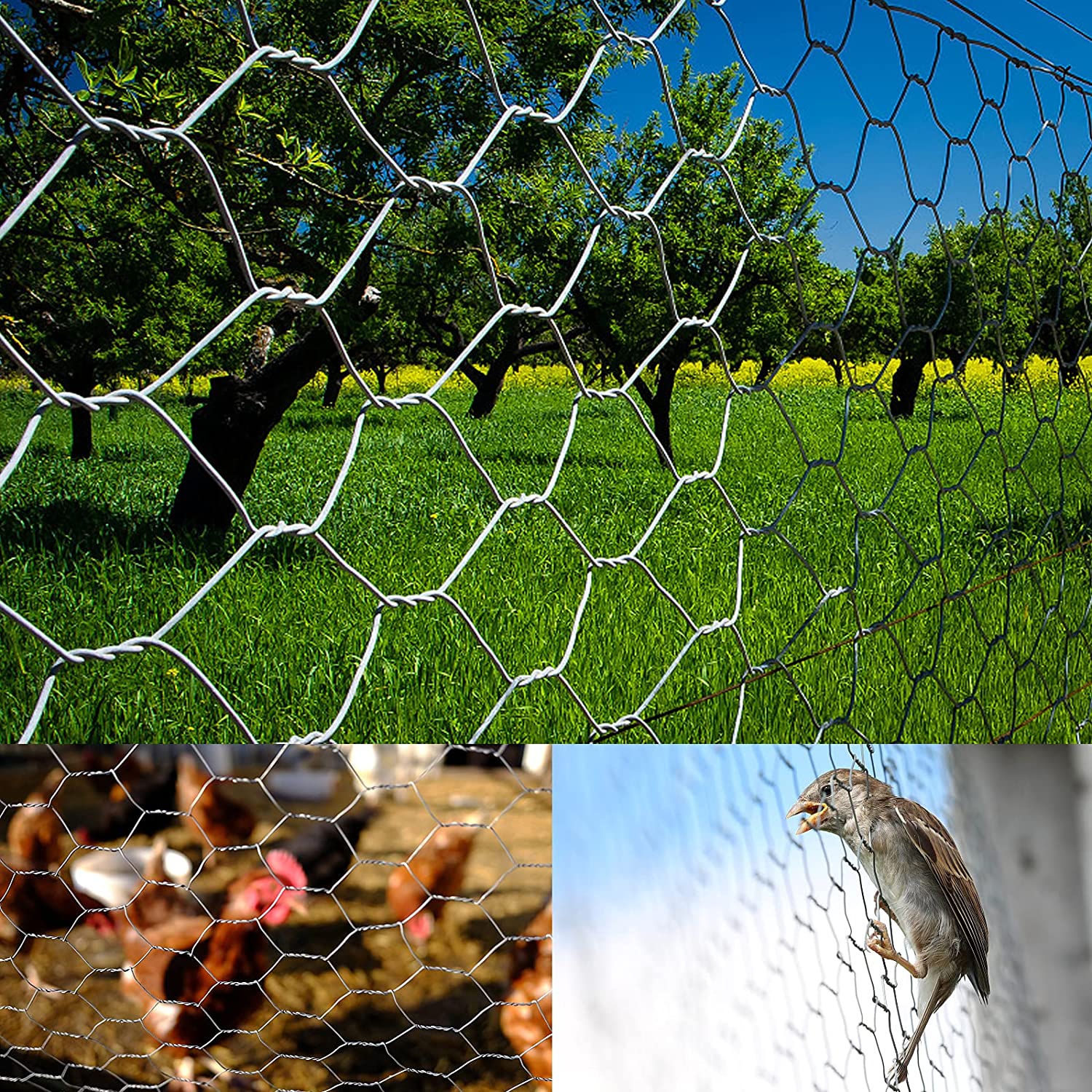 Factory supply 1" chicken hot dipped galvanised hexagonal wire mesh
