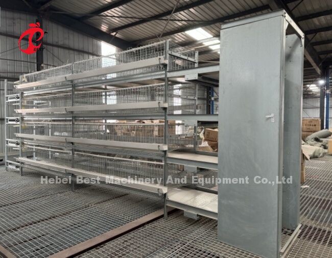 Poultry Cage System H/A Type With Automatic Drinkers Feeders Installation For Tanzania Uganda Ghana Kenya Sandy
