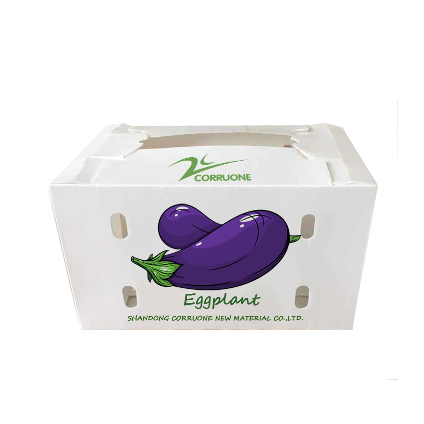 Embossing PP Vegetable Corrugated Boxes Rice Meat Corflute Box