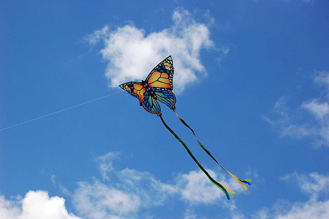 Stackable Butterfly Kite with Ripstop coated Fabric Material for beach sporting