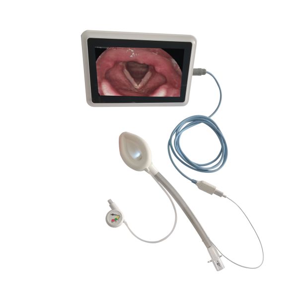 Quality Video Reinforced Laryngeal Mask - Secure Placement Easy Insertion Real-Time Visualization OEM ODM for sale