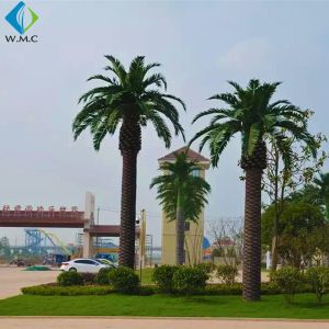 Custom Artificial Palm Trees Environmentally Friendly Beautiful Shape