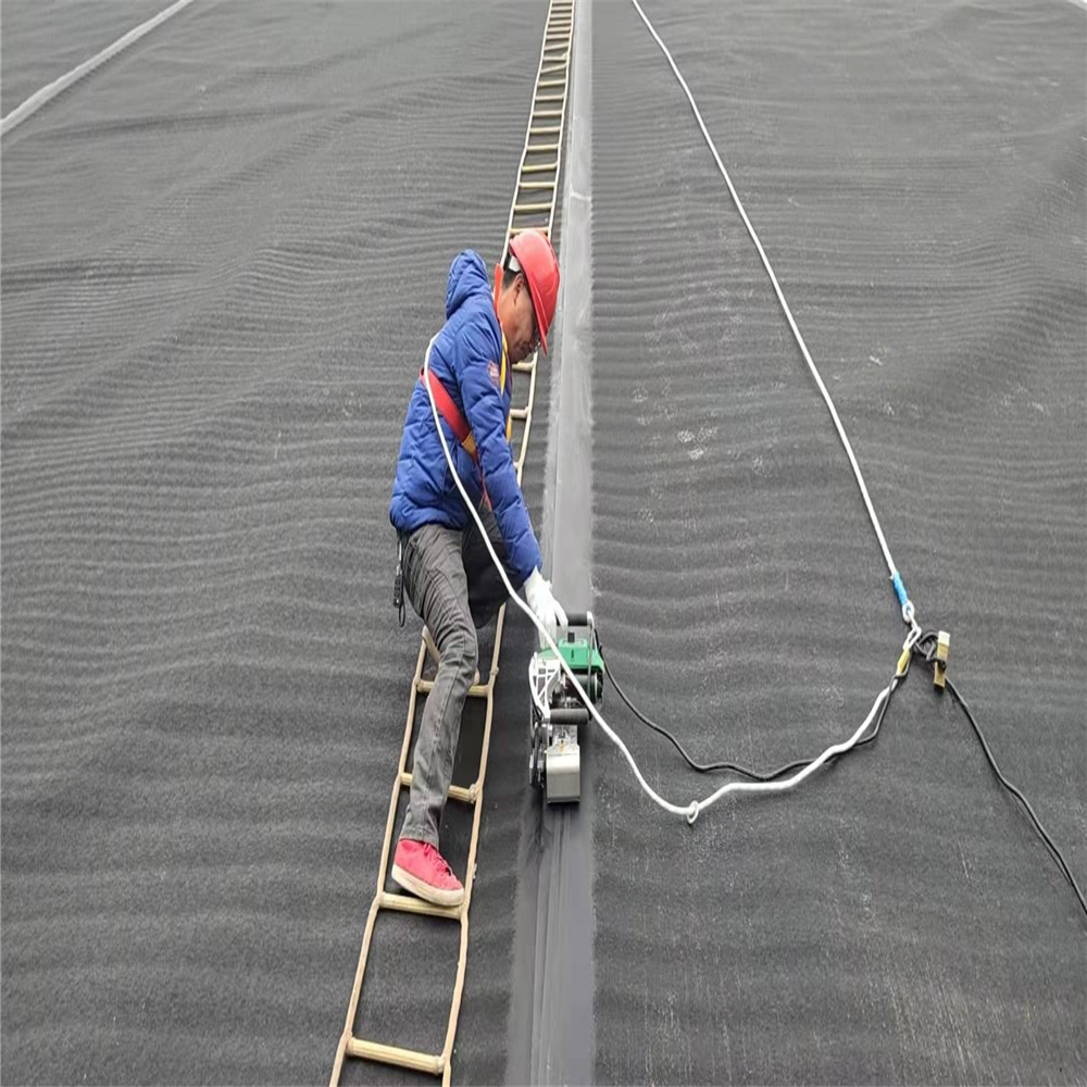 Landfills Made Eco-Friendly HDPE Geomembrane for Fish Shrimp Farms and Swimming Pools