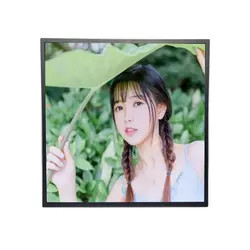 DV220X2M-NV0 Square LCD IPS Screen 1920x1920 500Cd/M2 22 Inch BOE LCD Display