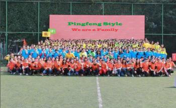 Shenzhen Pinfeng Electronic Co., Ltd