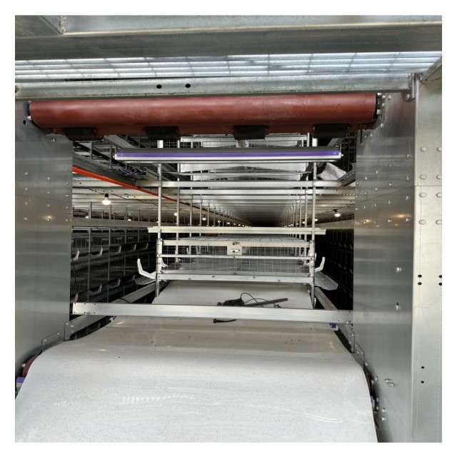 Automated Laying Hens Machines 8 Tier Chicken Layer Battery Cage Chicken Cages Hot Galvanized Egg Layer Poultry Farms