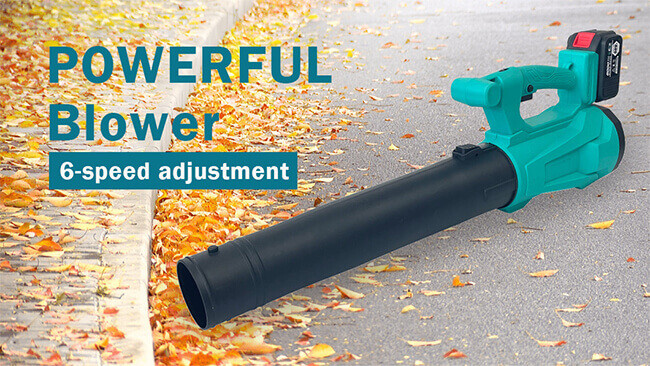 Low Noise 40V Lithium Leaf And Snow Blower Garden Vacuum Cordless