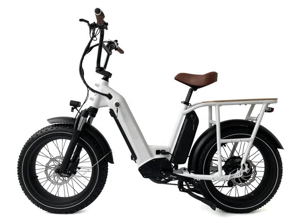 Aluminum Alloy Electric Cargo Bike 48V 750W Ebike With Front Suspension Dual Battery
