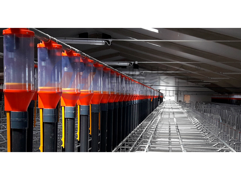 High Tolerance Pig Farrowing Crates for Customized Agricultural Livestock Equipment