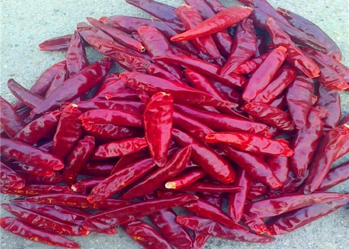 Zero Additive Erjingtiao Dried Chilis Pungent Dehydrated Hot Peppers