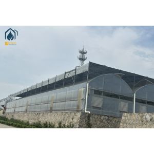 Multi Span Greenhouse Project Management Advanced Irrigation For Large Farms