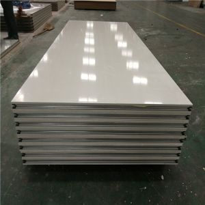 China fireproof 22kg /m2 handmade mgo sandwich panel with 50mm used for clean room on sale