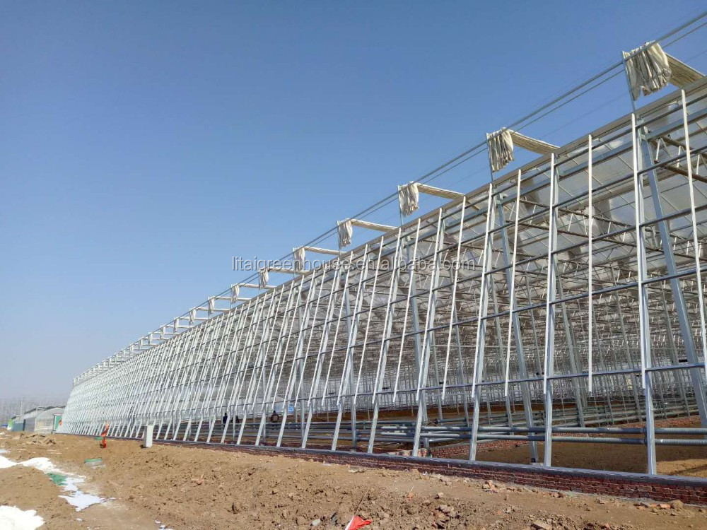 Greenhouse Plastic Sheet/PC Sheet Greenhouse with Stable Structure and Vents