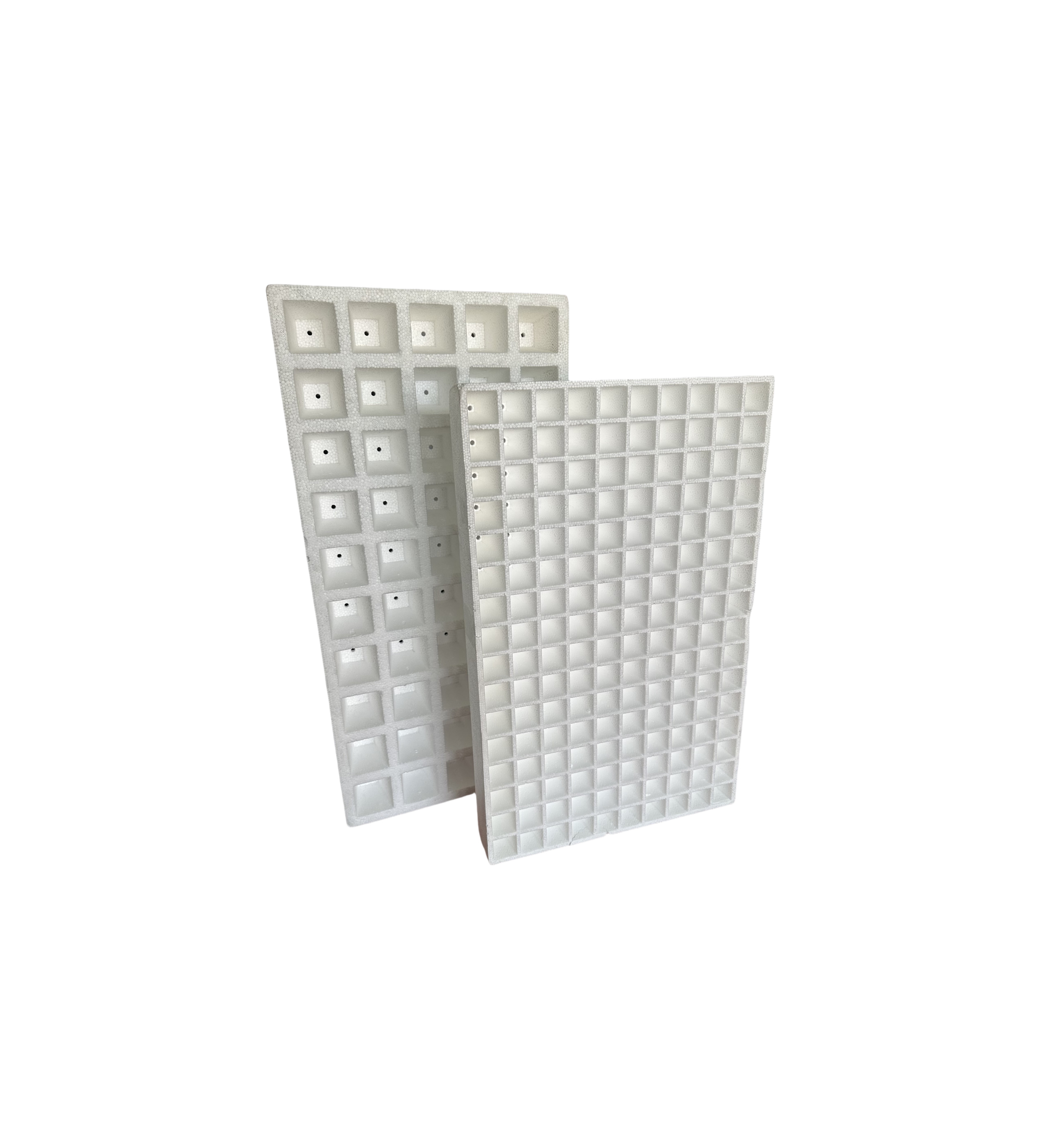 EPS foam seedling tray customized for vegetable, fruit, flower and tobacco seedlings.