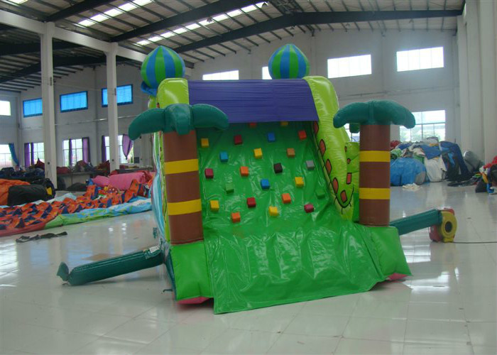 Mini Snake Style Commercial Inflatable Water Slides 0.55mm Pvc Tarpaulin Safe Nontoxic