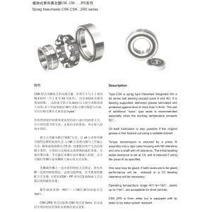 R&B brand one way undirectional clutch ball bearings CSK6306 or with keyways