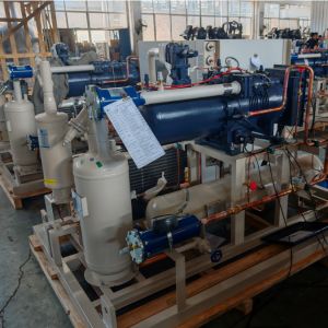 China Parallel Structure Screw Compressor Rack With Copeland / Fracold / Daming Compressor on sale