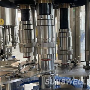 Rotary Type Spring Water Rinsing Bottling Capping Monoblock Production Line