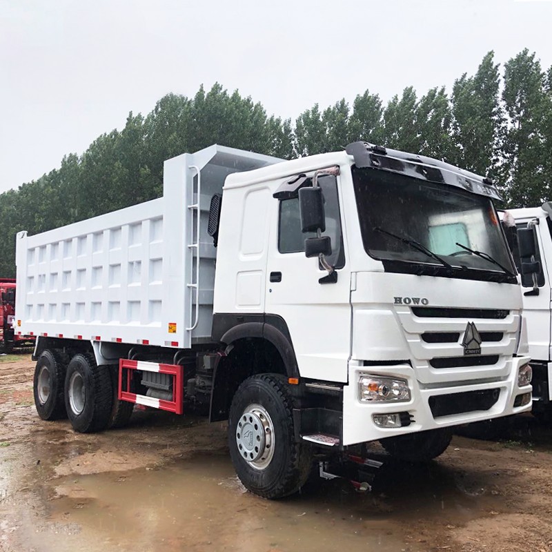 21-30T Capacity FAST Gear Box Video Technical Support for Cameroon Dump Truck Sale