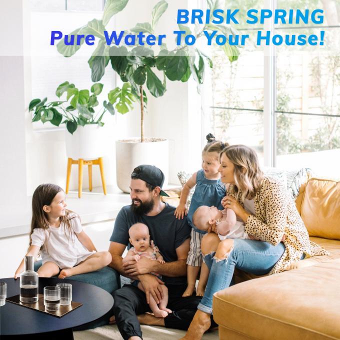 latest company news about Why Install a Pre-Filter? | BRISKSPRING  6