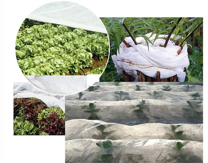 Garden Ground Cover Fabric / Weed Control Non Woven Fabric For Maintain Temperature