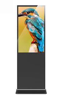 75" Floor Standing digital signage mediaplayer Free CMS 4K Android Windows Dual