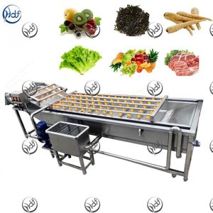 Automatic Food Processing Machines Fruit And Vegetable Washing Equipment