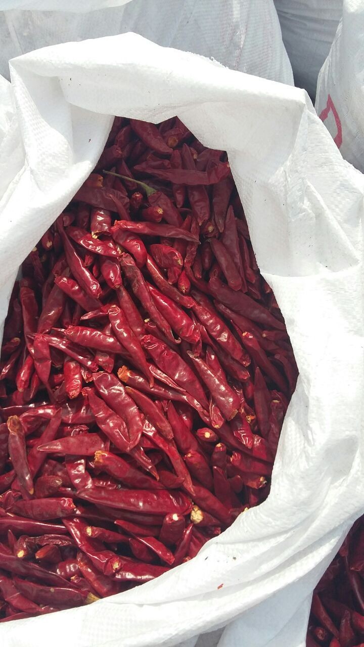 Tianjin Tien Tsin Dried Red Chilli Peppers For Cooking Ingredient