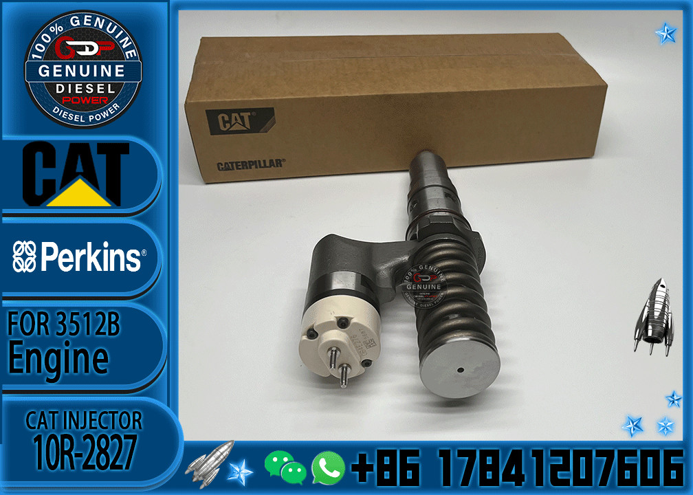 Common rail injector fuel injecto 20R3483 20R-3247 10R-2827 for 3512B Excavator 3512C 3516B 3516C