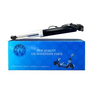 China Customized Lincoln MKT Rear Shock Absorber on sale