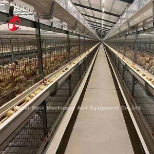 China A And H Poultry Broiler Cage Raising Equipment For Day Old Chicks Sandy on sale