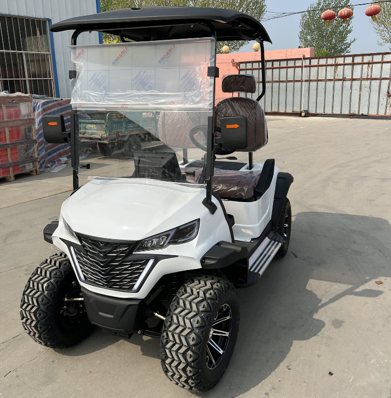 2 Seater Electric Golf Cart Optional Lithium Battery Mini Durable Electric Golf Buggy