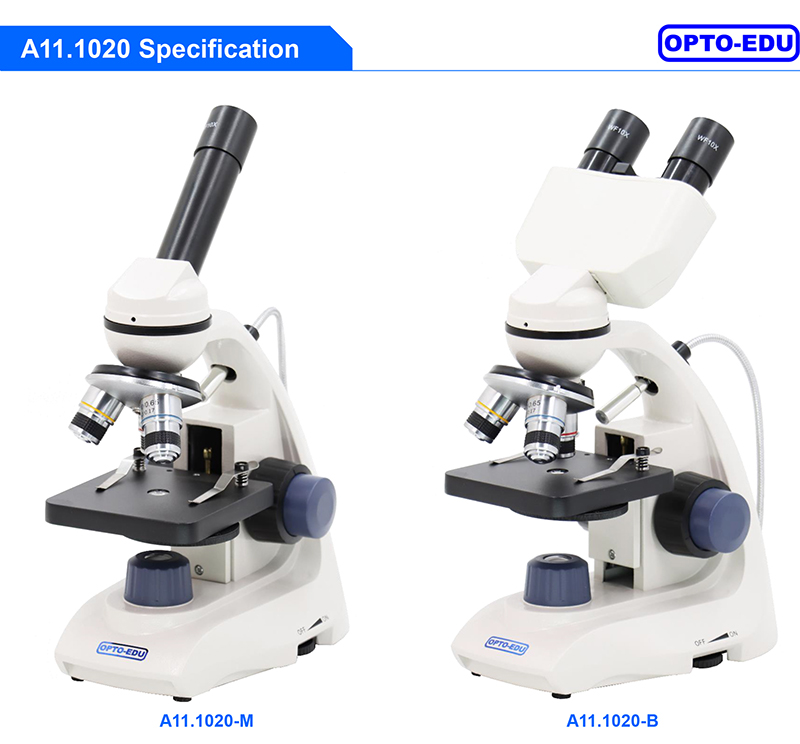 A11.1020 LED 400x Achromatic Student Binocular Biological Microscope