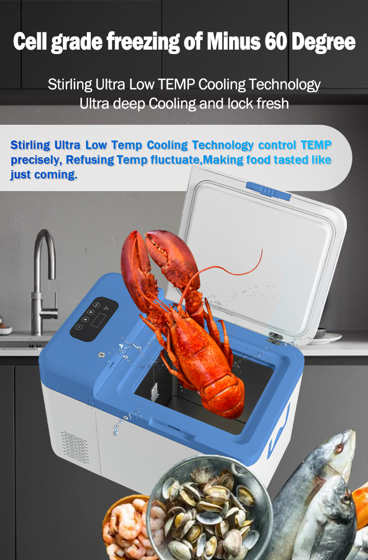 -60 Degree 25L Mini Portable Fridge for Car and Home Medical Storage 616*392*455mm 1