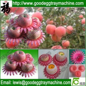 EPE pan foam tray for tomatoes packing