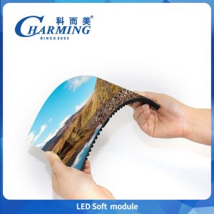 Full Color P1.86/P2/P2.5/P3.076 Indoor Led Soft Module 800hz High Brightness For Cylindrical Screen
