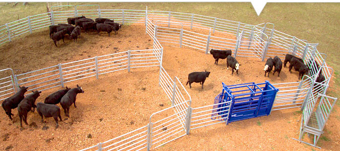 Durable High Strength Portable 40x80mm Oval Rail Cattle Yard Gates 2.1m Width