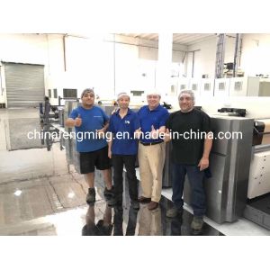 Petal Type Flexographic Printing Equipment Multicolor Hamburger Box With 1/8cp