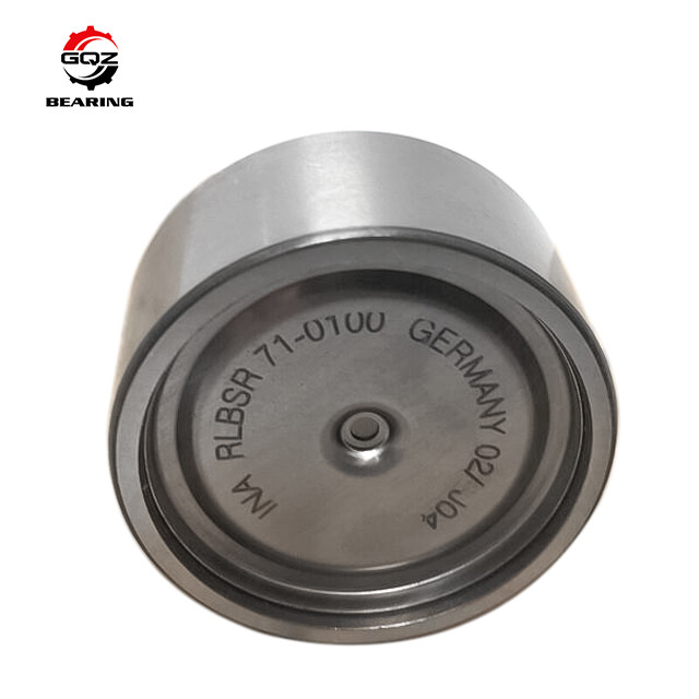 Needle Roller Bearing RLBSR71-C-0100