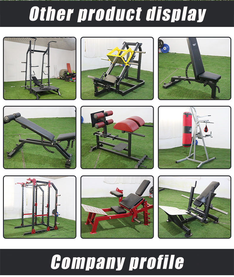 Professional Commercial Strength Machine Sports Training Body Building Life Fitness PRO2 Se Leg Extension Press Prone Seated Leg Curl Fitness Gym Equipment
