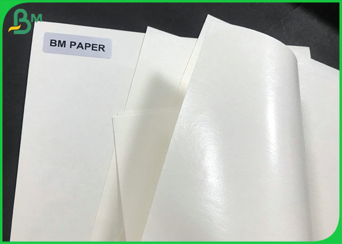 Polylactic acid coated Food Grade 160gsm White Kraft PaperBoard for Coffee Cup