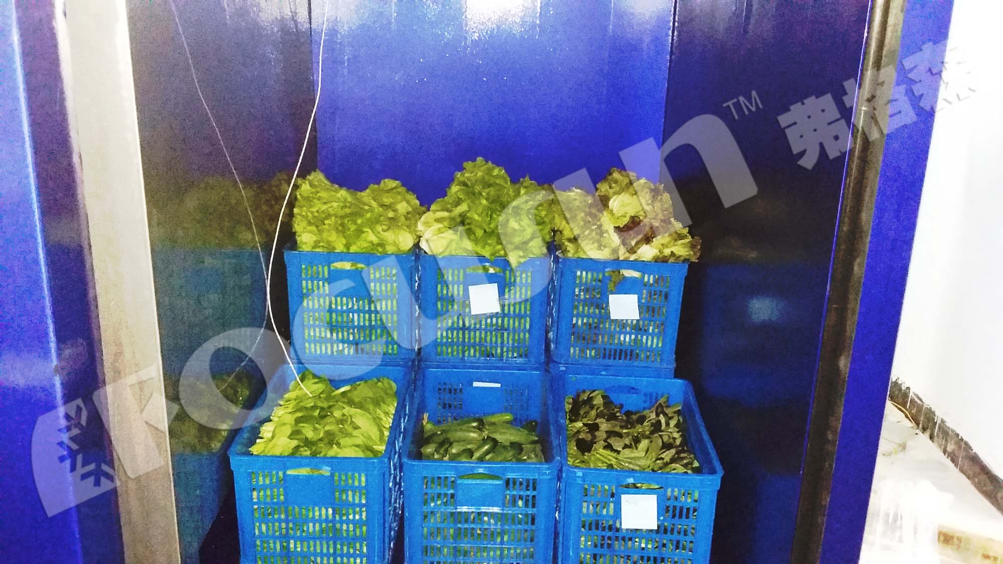 100mm Panel Thickness Farms Pre Cooling Machine Vacuum Cooler for Flowers and Vegetables