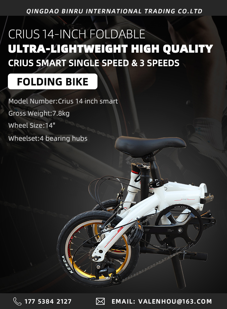 Lightweight 14 Inch Aluminum Alloy Single Speed Folding Bike For Outdoor Adventures